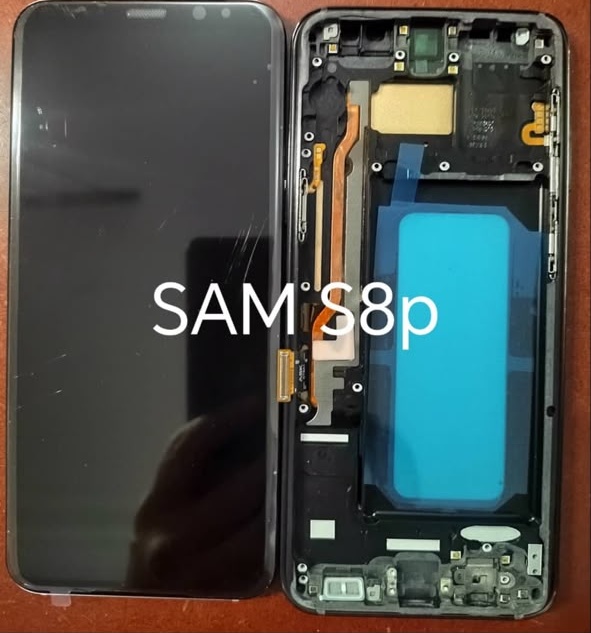 Samsung S8 Plus Frame and Screen
